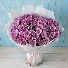 Букет цветов из:  Хризантемы в Андреевской Ростовской области