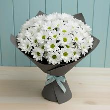 Букет белые хризантемы #REPLACE_PRED# Андреевской Ростовской области Букет цветов из:  Хризантемы #REPLACE_PRED# Андреевской Ростовской области